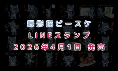 撮影猫ピースケLINEスタンプ販売開始